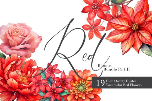 Download 19 Watercolor Red Florals Clipart Set II - Clip Collection