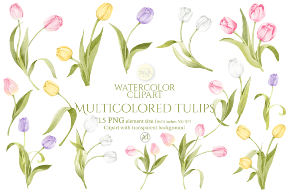 Download Watercolor Multicolored Tulips Clipart - Tulips Collection