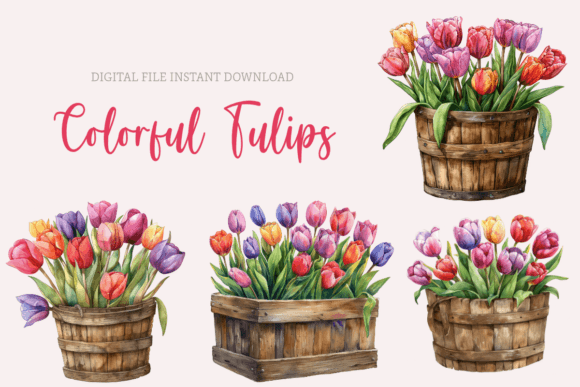 Download Watercolor Tulips Clipart Spring Flowers - Tulips Collection