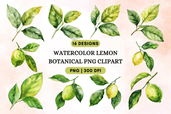 Download Watercolor Lemon Botanical PNG Clipart - Clip Collection