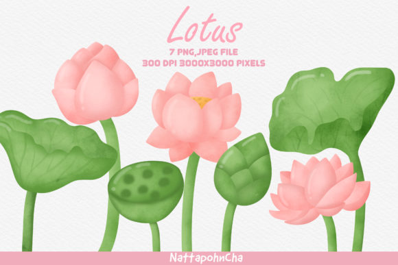 Download Watercolor Lotus Clipart Bundle. - Clip Collection