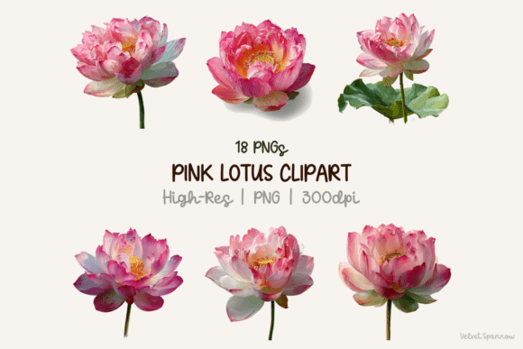 Download Pink Lotus Clipart 18 Png - Clip Collection