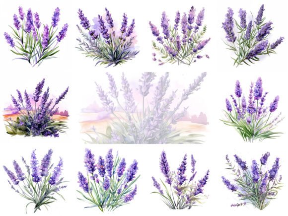 Download Lavender Watercolor Flowers Clipart Set - Clip Collection