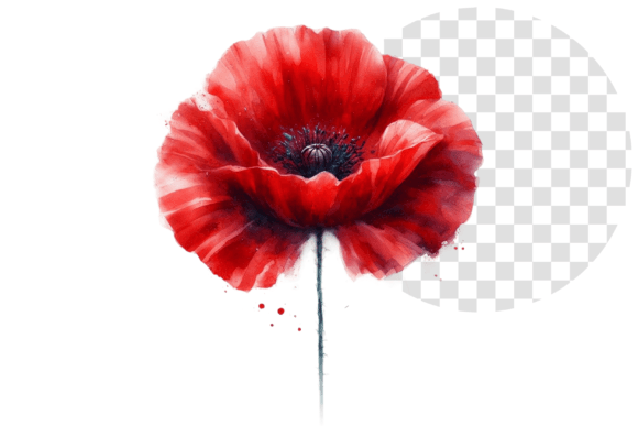 Download Poppify Watercolor Red Poppy Clipart - Red poppy clipart Collection