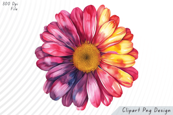 Download Watercolor Rainbow Daisy Flower PNG Clip - Clip Collection