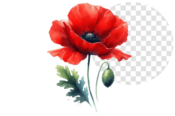 Download Poppify Watercolor Red Poppy Clipart - Red poppy clipart Collection