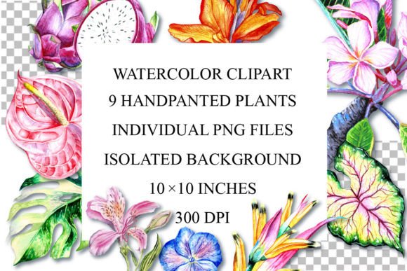 Download Watercolor Plants Clipart, PNG - Clip Collection