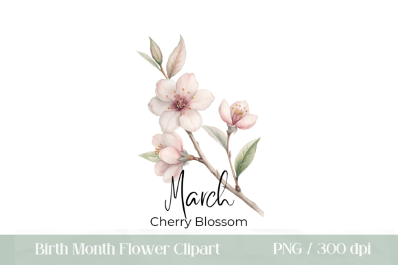Download Cherry Blossom Birth Flower Clipart - Clip Collection