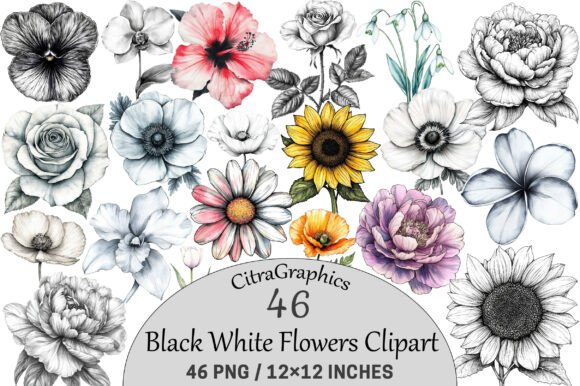 Download Watercolor Black White Flowers Clipart. - Clip Collection