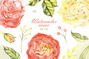 Download Watercolor Roses Cliparts - Clip Collection