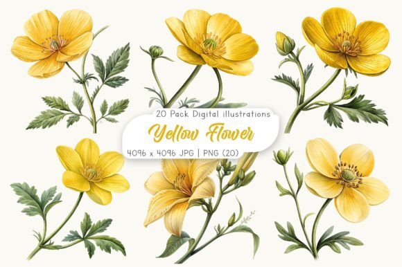Download Watercolor Yellow Flower Clipart - Clip Collection