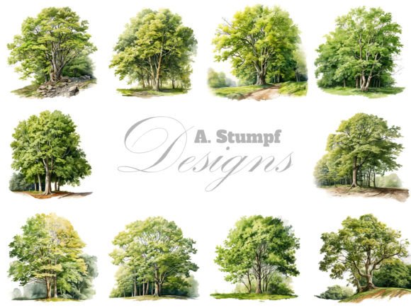 Download Beech Tree Watercolor Botanical Clipart - Clip Collection