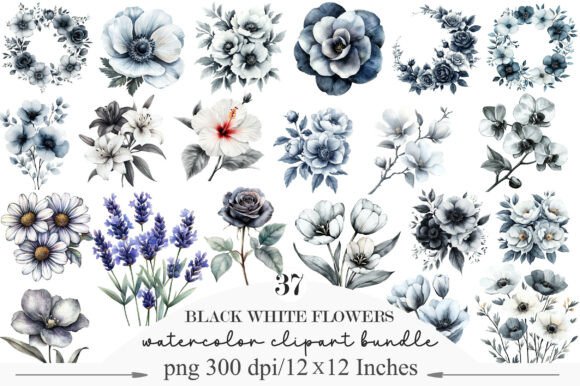 Download Watercolor Black White Flowers Clipart - Clip Collection