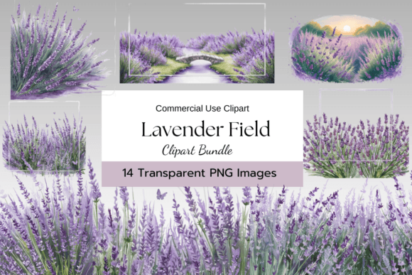 Download Lavender Field Clipart Pack - Clip Collection