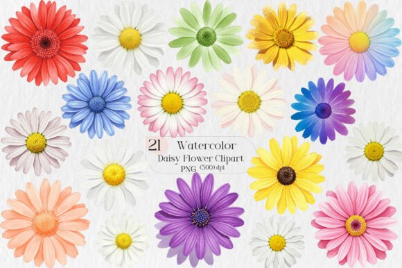 Download Daisy Flower Watercolor Clipart - Clip Collection