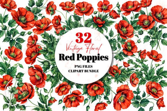 Download Vintage Red Poppies Clipart Bundle - Clip Collection