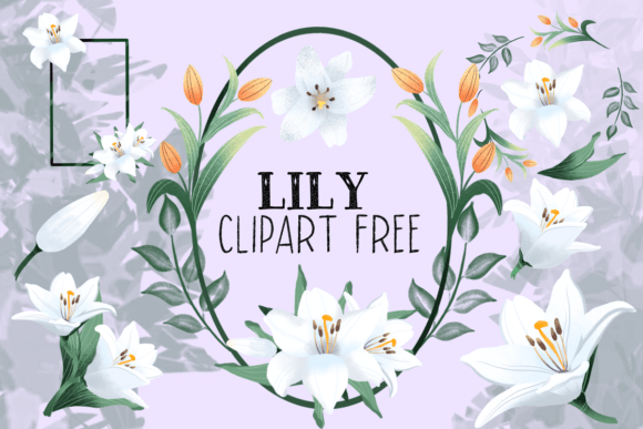 Download Lily Clipart Free - Clip Collection
