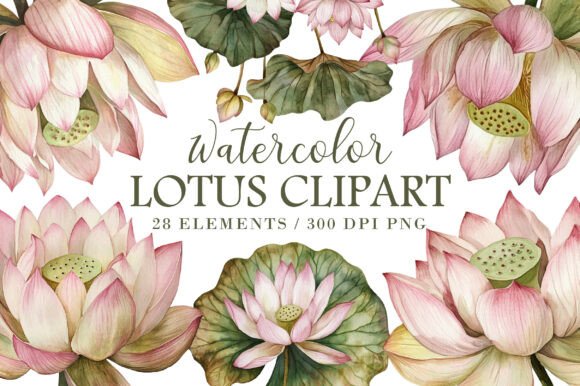 Download Watercolor Lotus Clipart - Clip Collection
