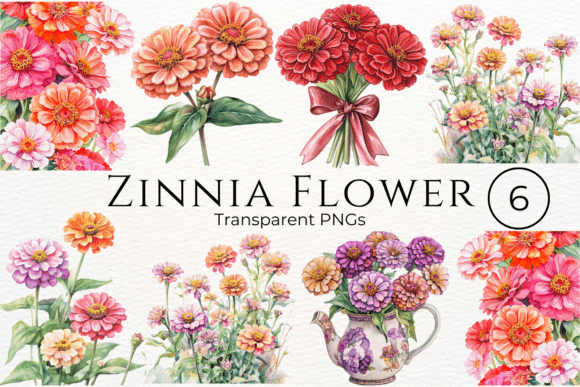 Download Zinnia Flower Watercolor Cliparts - Clip Collection
