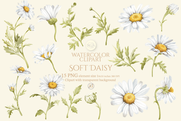 Download Soft Daisy Flower Watercolor Clipart Set - Clip Collection