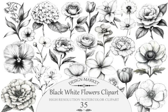 Download Watercolor Black White Flowers Clipart - Clip Collection