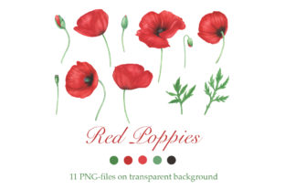 Download Red Poppies Flowers Clipart - Clip Collection