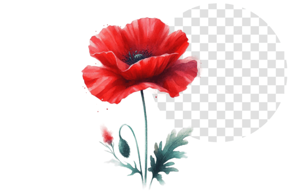Download Poppify Watercolor Red Poppy Clipart - Red poppy clipart Collection