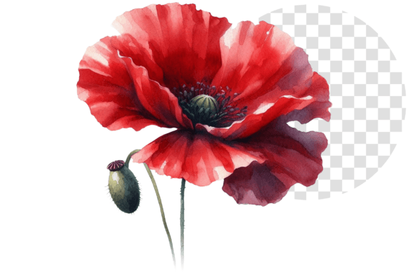 Download Poppify Watercolor Red Poppy Clipart - Red poppy clipart Collection