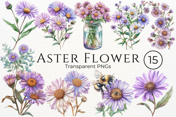 Download Aster Flower Watercolor Cliparts - Clip Collection