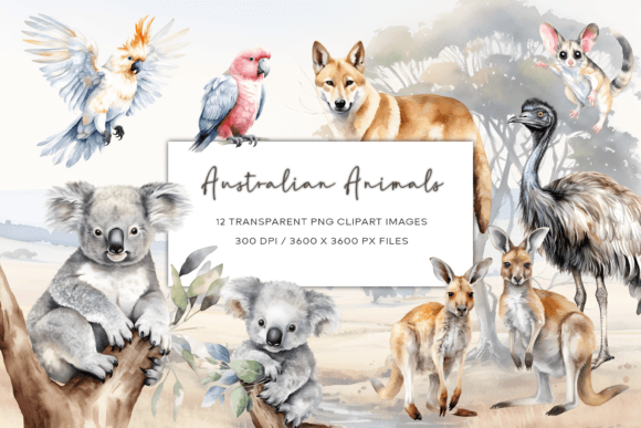 Download Australian Watercolor Animals Clipart - Clip Collection