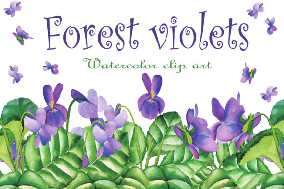 Download Violet Wild Flowers Watercolor Clipart - Clip Collection