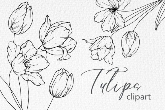 Download Tulips Line Drawing, Floral Line Art - Tulips Collection