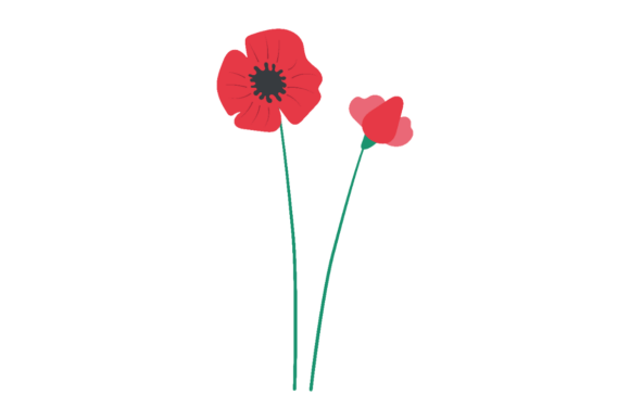 Download Red Poppies Clipart - Clip Collection