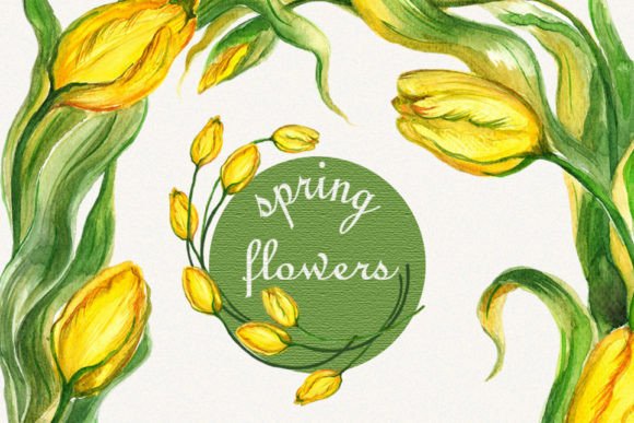 Download Tulip Clipart, Flower Frame Clipart - Clip Collection