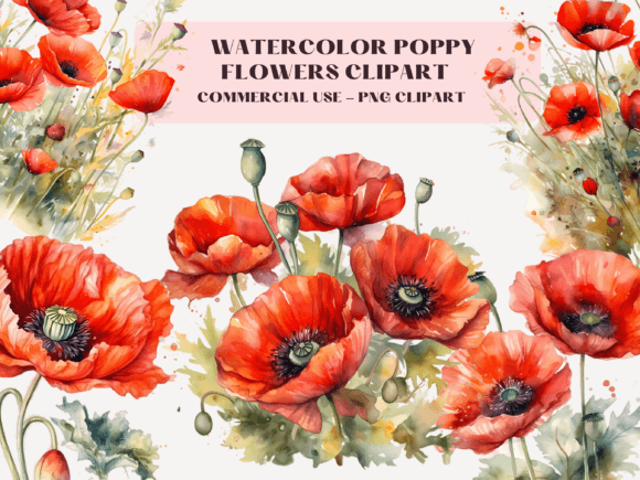 Download Watercolor Poppies Clipart - Clip Collection